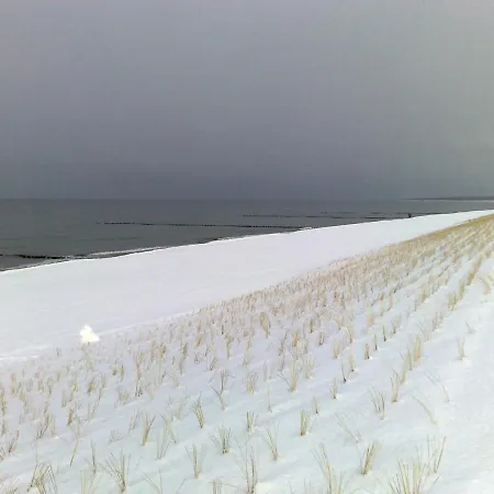아파트 Wo 15 Im 2 Og Haus Stranddistel Zingst, Komfortable Fewo Fur 4 Pers Mit Wlan 징스트